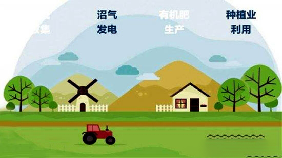 山東計劃2020完成全省畜牧業轉型升級