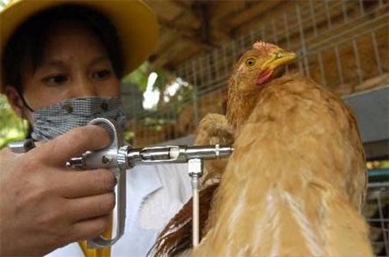 三個原因說明呼吸道疾病從何而來