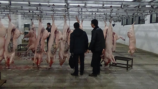 6月1日起開始對生豬屠宰場進行飛行檢查