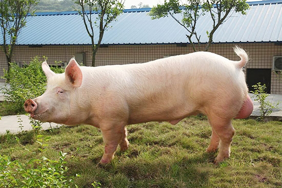 “精液有三怕”——怕光、怕震、怕塵！