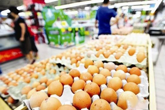 淄博養戶:養了30年雞頭一回遇到這行情