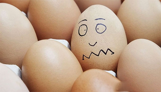 養殖戶的噩耗下一個“倒黴蛋”将是誰