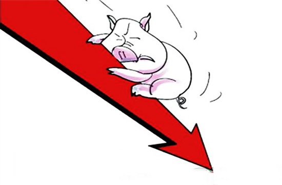 生豬價格一跌再跌是在警告什麼？