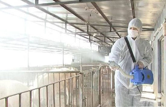 豬場消毒經常都是要用到哪些藥物