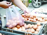 蛋情、蛋農可否安好?