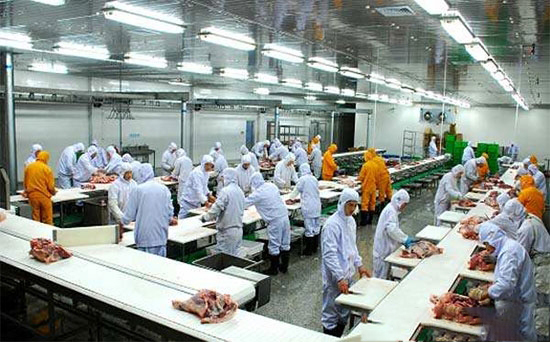 2017年畜禽屠宰企業标準化建設試點工作正式啟動