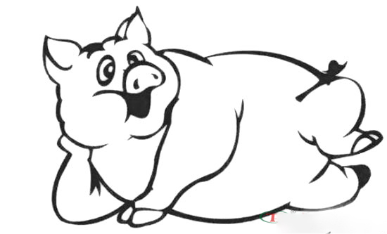 母豬過肥和過瘦的危害