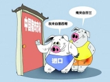 豬肉進口再度增加的可能性也将會大大降低