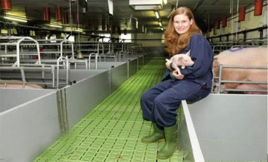 德國憑什麼成為比我國還厲害的養豬強國？