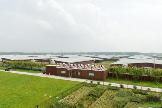 2017中央财政補貼将重點支持畜牧業這幾項轉型升級