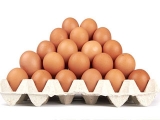 這一個月雞蛋價翻了近一倍