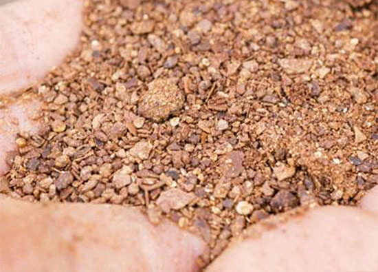 雞飼料原料中的有毒有害物質及預防措施