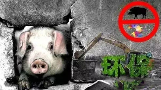 國務院告訴你畜禽養殖要有新變化！