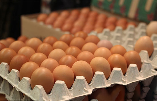 雞蛋這次漲價是福還是禍 聽聽專家說的