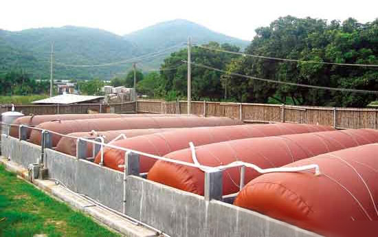 豬場廢棄物的危害及處理方法