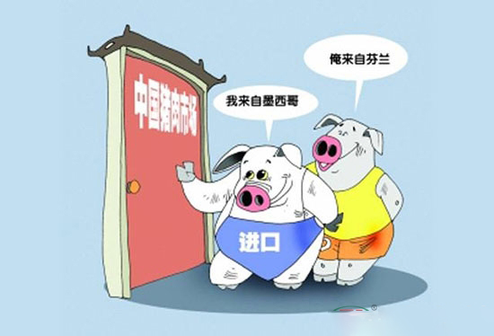 進口豬肉不可怕 可怕的是這個消息！