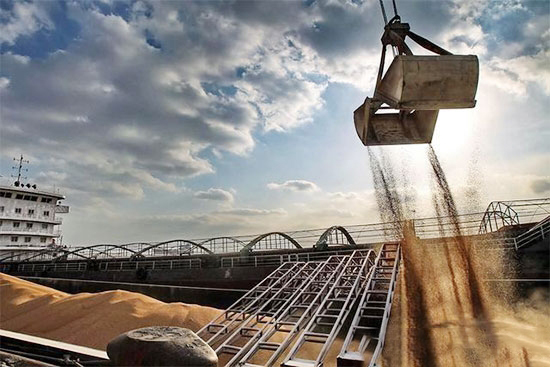 玉米貿易商應警惕市場變化