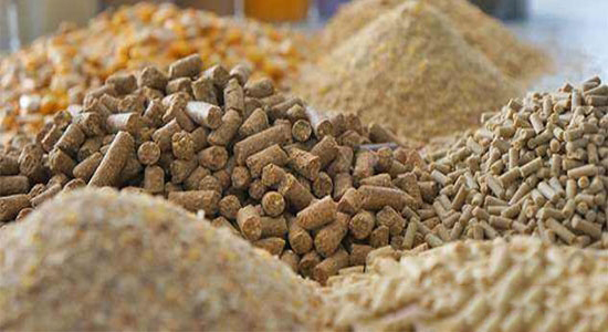 巧妙自制飼料防黴劑