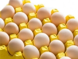雞蛋價格止跌回升預計中秋節前将繼續上漲