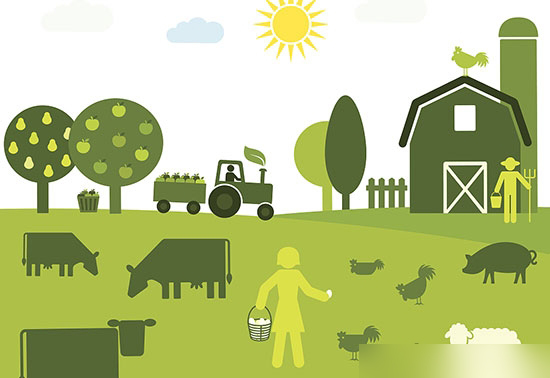 環保趨嚴 生豬養殖業面臨治污挑戰