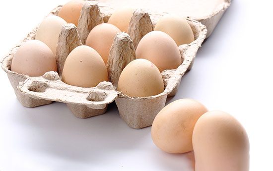 鮮蛋的包裝與運輸技術