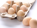 鮮蛋的包裝與運輸技術