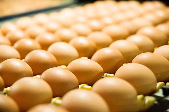 從“催淚蛋”到“火箭蛋” 蛋價如坐過山車