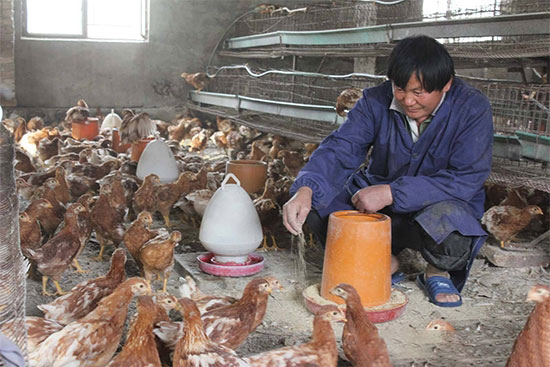 養殖戶又陷深坑？誰能救他們？