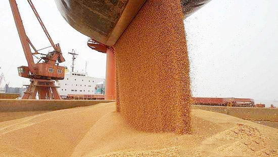 中國進口的美國大豆船貨拖延 飓風令質量受損