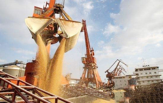 未來10年中國大豆進口增速将放緩 主要來源國是巴西