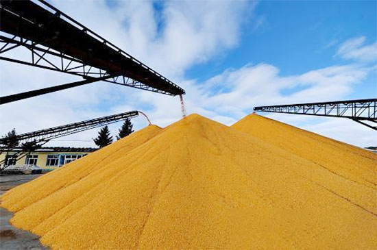 黑龍江省農發行籌措1020億元資金确保做好2017秋糧收購工作