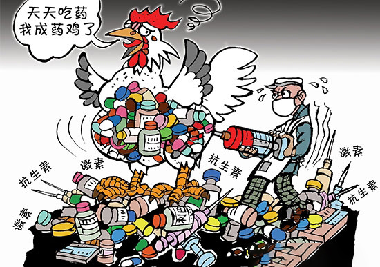 濫用抗生素養雞的人該收手了