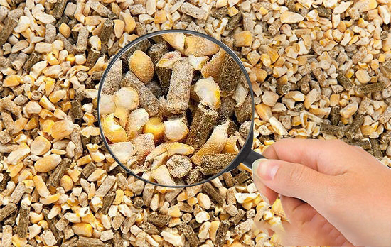 2017年飼料行業管理督導檢查要來啦！