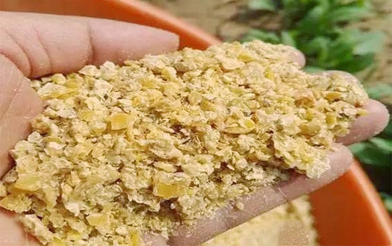 出現區域性供應緊張 豆粕價格重心有望逐步上移