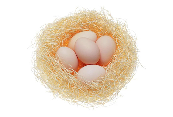 如何避免孵化生産中應激