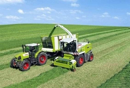 糧改飼種養雙赢開新局