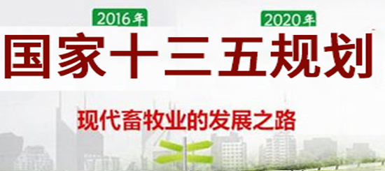 “十三五”農業部将着力提升我國畜禽種業水平