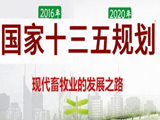 “十三五”農業部将着力提升我國畜禽種業水平