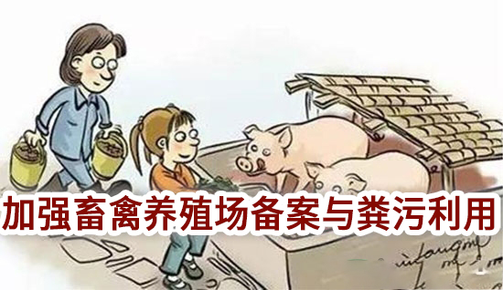 農業部：加強畜禽養殖場備案與糞污利用