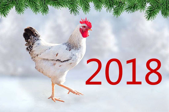 2018養雞行業大環境面臨哪些變數？