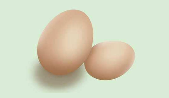 影響蛋雞産蛋大小因素分析