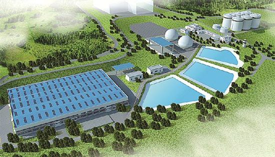 浙江這個村建沼氣工程保留豬場 利用豬糞給村民供電送肥！