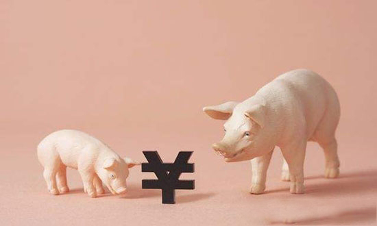 “豬周期”現數據背離 規模化經營難移周期本質