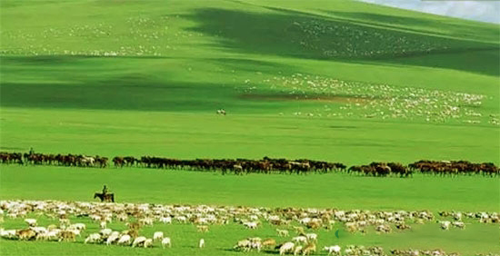 農業部辦公廳關于印發《2018年畜牧業工作要點》的通知