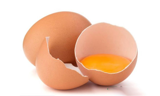 籠養蛋雞咋防破蛋