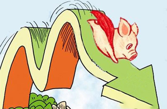 春節後豬價快速下跌專家預計近期難反轉