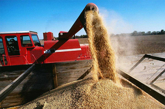 拉尼娜衰退，豆粕期貨的“天氣行情”會否終結？