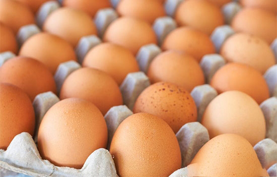 控制雞蛋大小有方法
