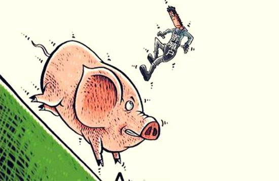 飼料價格上漲疊加豬價下跌 生豬養殖業敲響“警鐘”