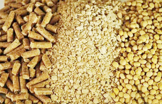 不确定因素多 短期豆粕易漲難跌